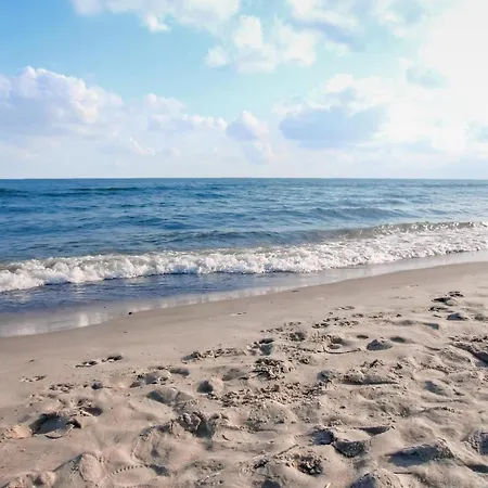 1 Bedroom Beautiful In Apartment